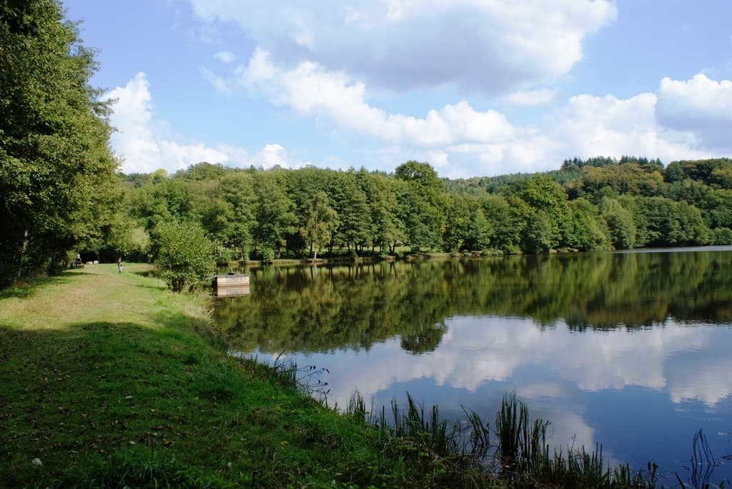 DONTREIX - Etang de Jarmenet