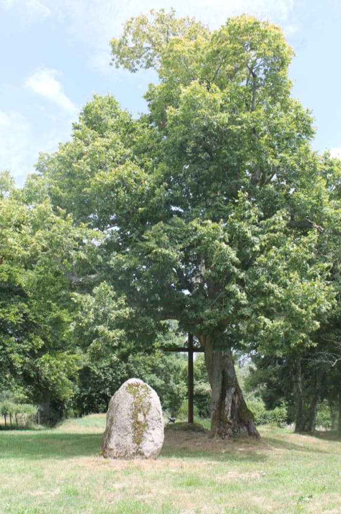 Mérinchal - Le Montaurat, Croix de l'Arbre_1
