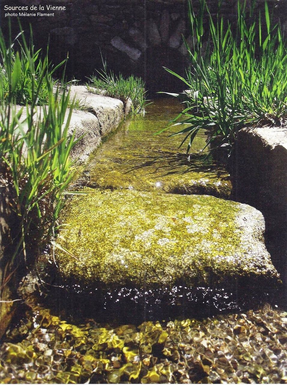 Les Sources de la Vienne_1