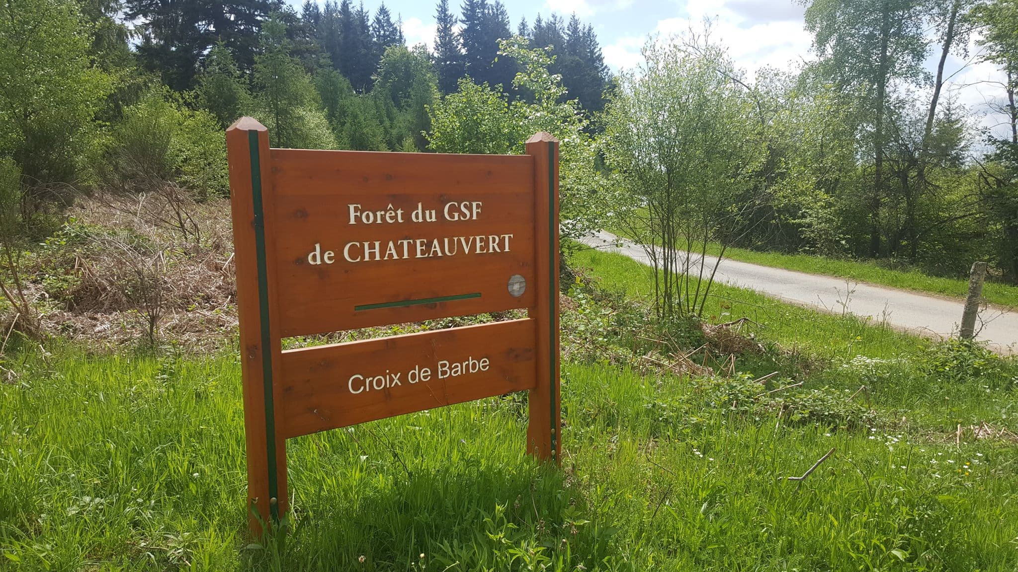 Forêt de Châteauvert_17