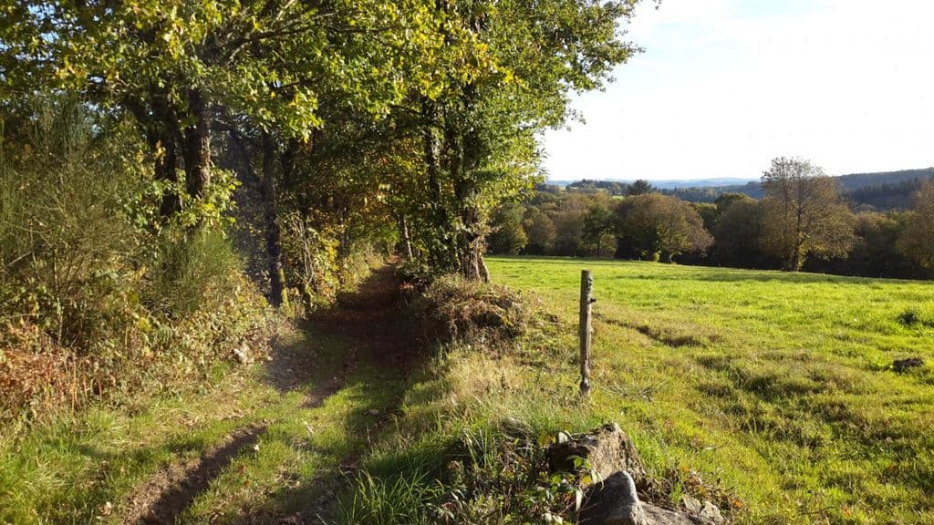 Le Compostelle