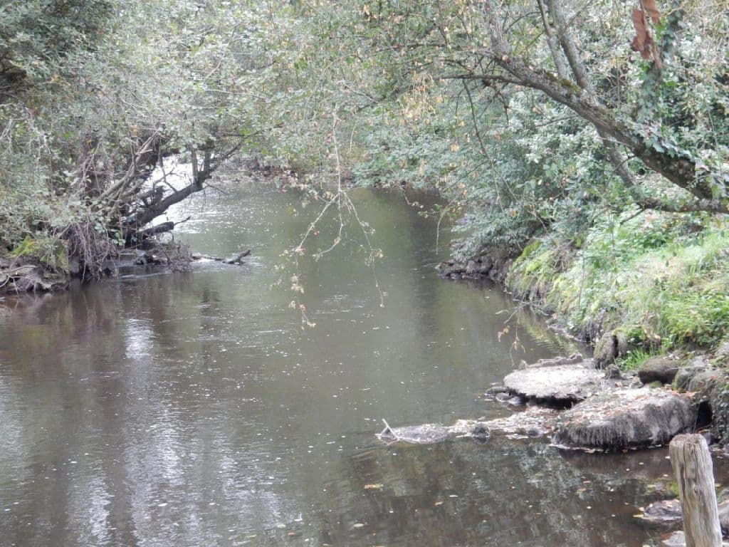 Le Moulin des Myrtilles