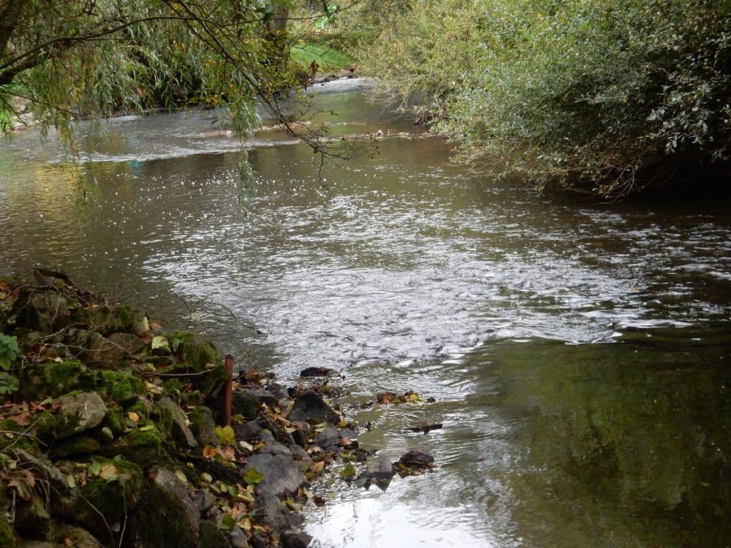 Le Moulin des Myrtilles
