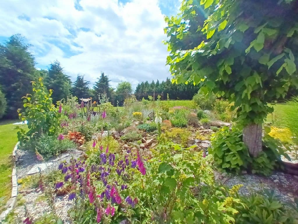 Le Moulin des Myrtilles