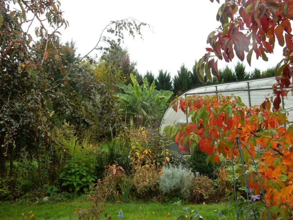 Le Moulin des Myrtilles