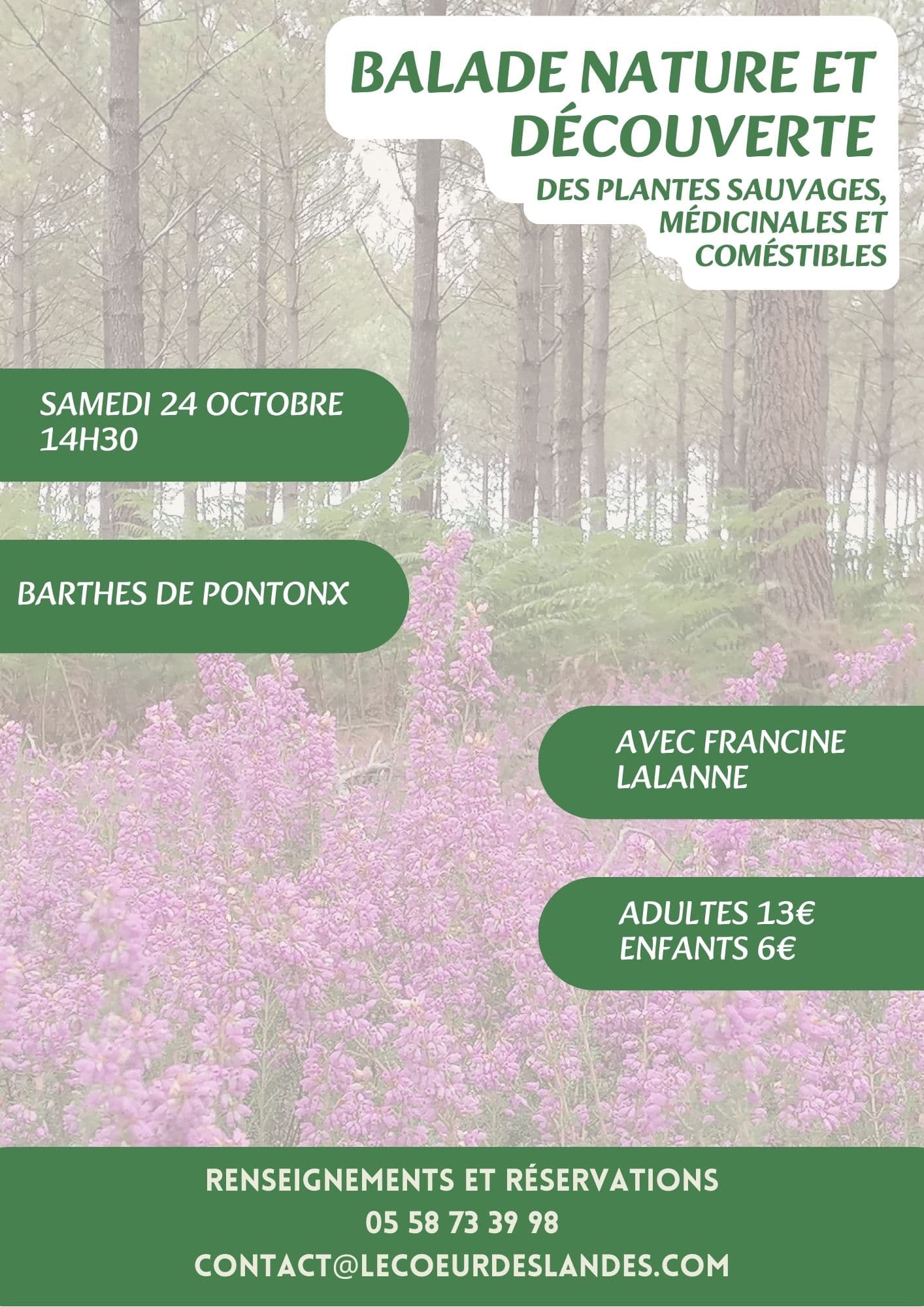 Visites, balades de l'OT - 12