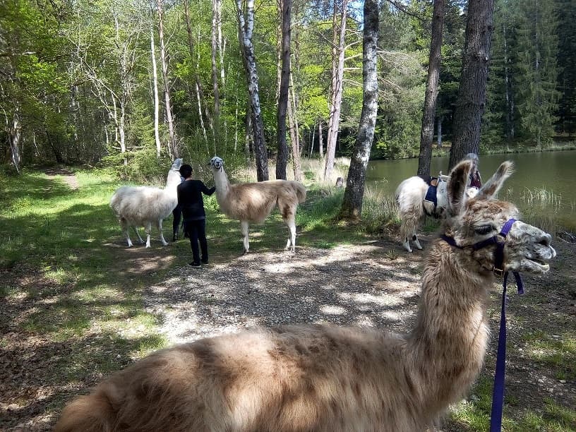 La Ferme de Lama'zière_1