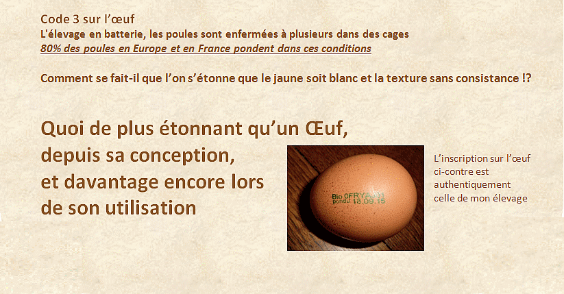 Coco Corrèze_2