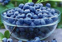 Ferme des Petits Fruits_1
