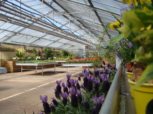 Les Jardins de Murat_3