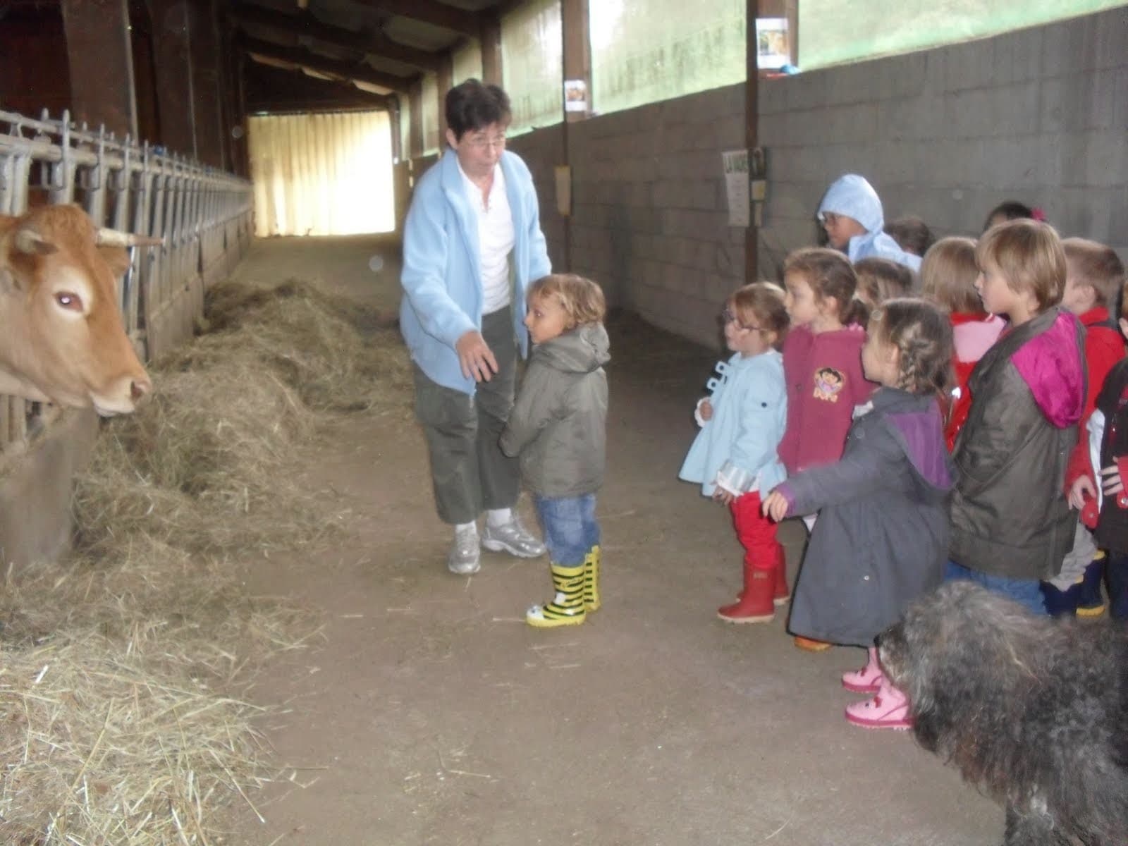 Ferme de la Bitarelle_3