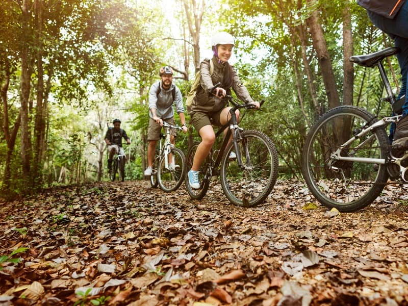 Freepik rando vtt