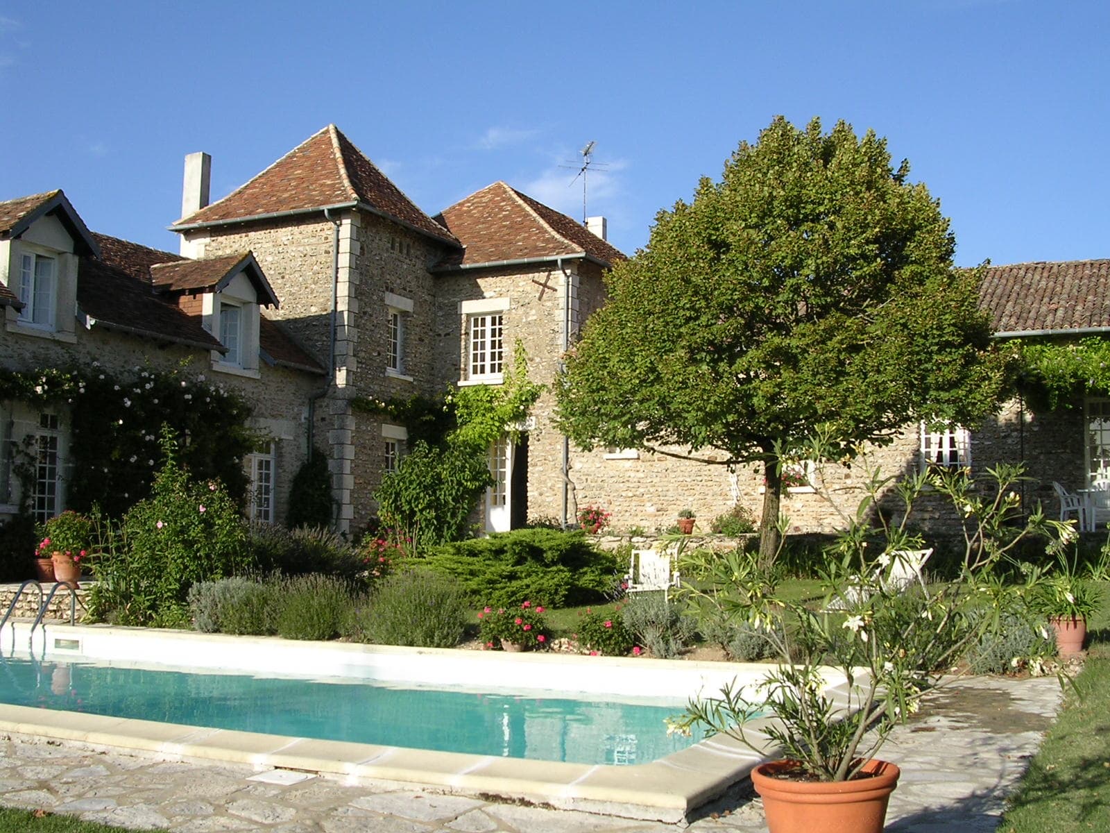 vue jardin et piscine_1