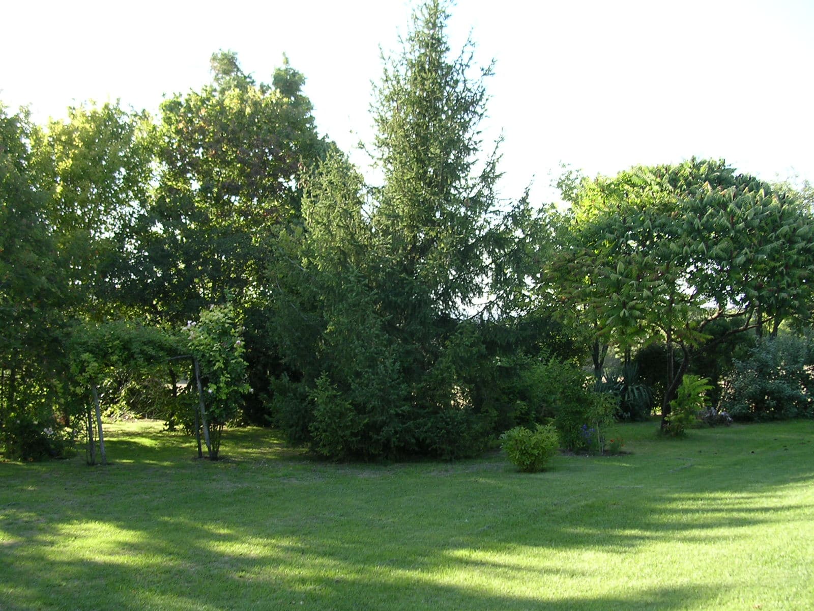 jardin_2