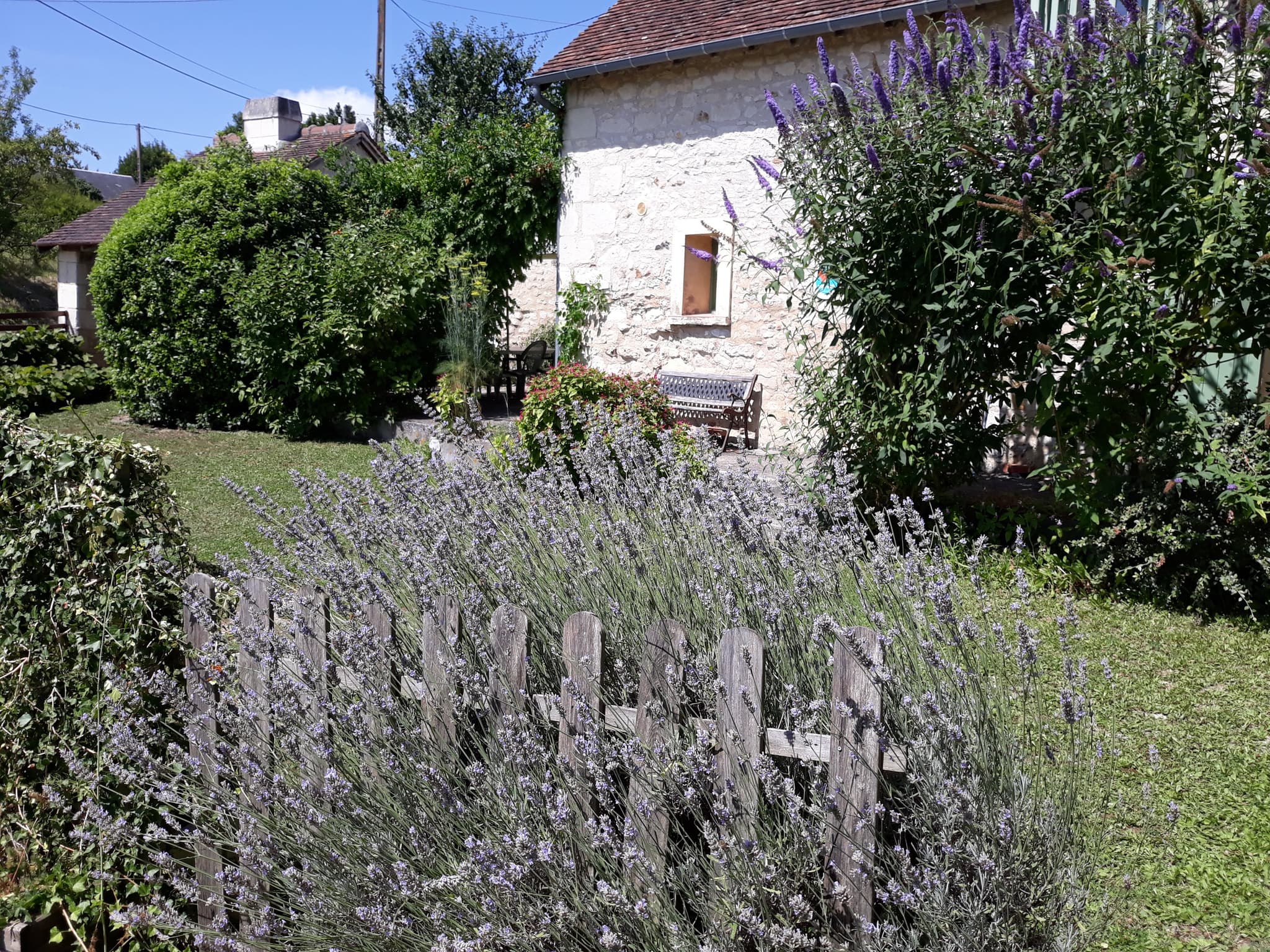 Le Misteflore_1