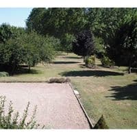 Les Oiseaux du Paradis_2