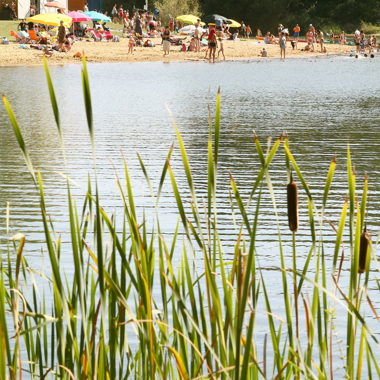 Lac de la Forêt_2