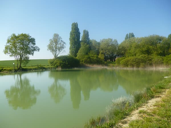 Étang_1