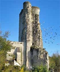 Site castral du Haut Clairvaux_1