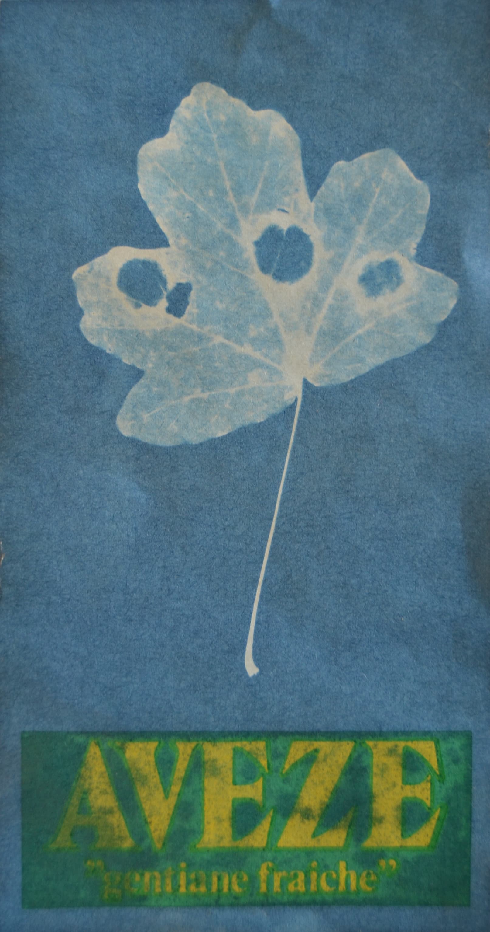 Eva Aurich, 'Aveze', 2016, cyanotype sur papier_2