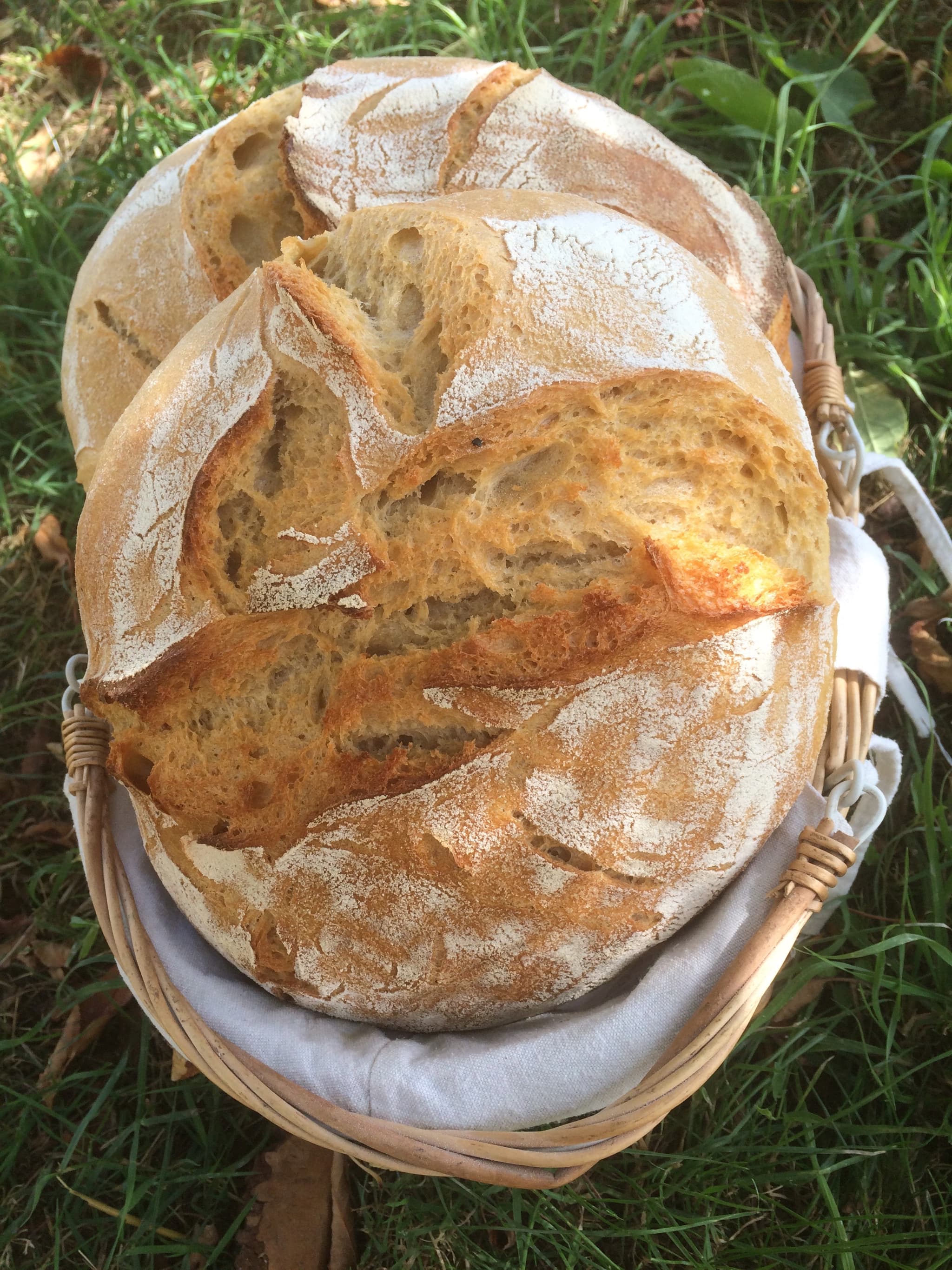 miche 1kg set-complète au pur levain_19