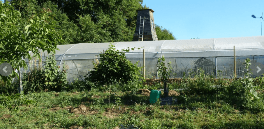 Jardin aux orobanches_1