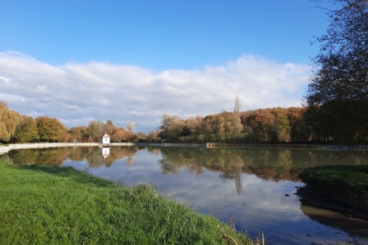 Etang de pêche