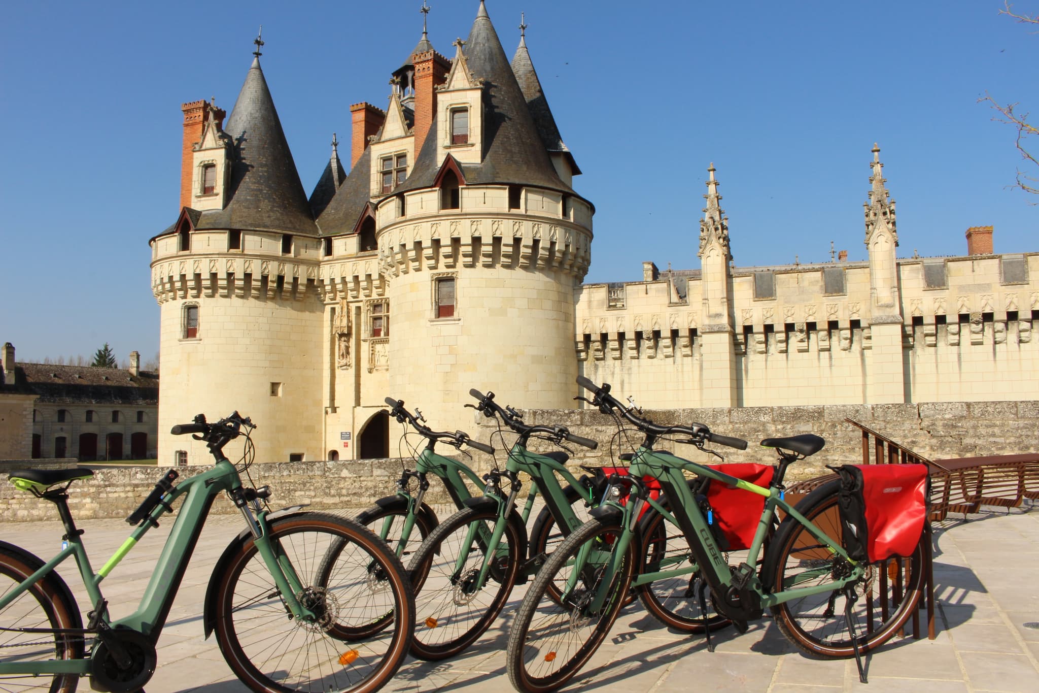 Château de Dissay_1
