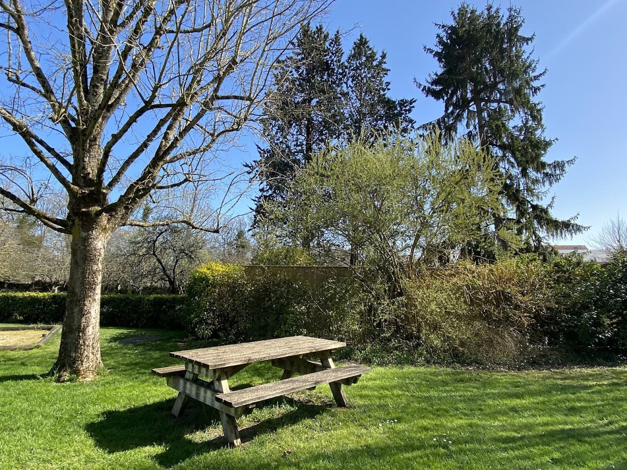 Aire de loisirs Senillé Saint-Sauveur_1