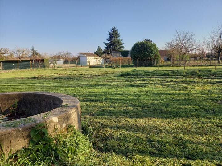 Jardin partagé_12