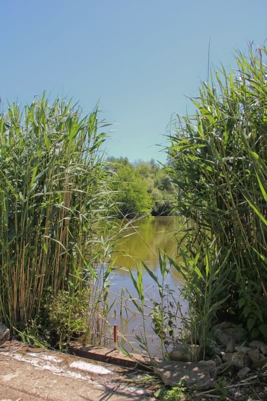 AU VIEUX CHÊNE AU CALME, AVEC ÉTANG DE PÊCHE