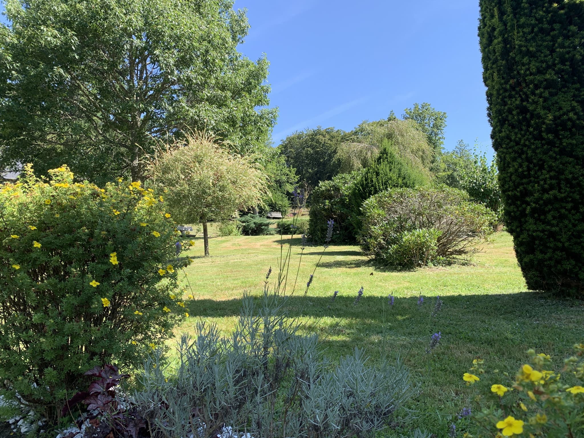 Parc arboré semis-clos en prolongement de la cour