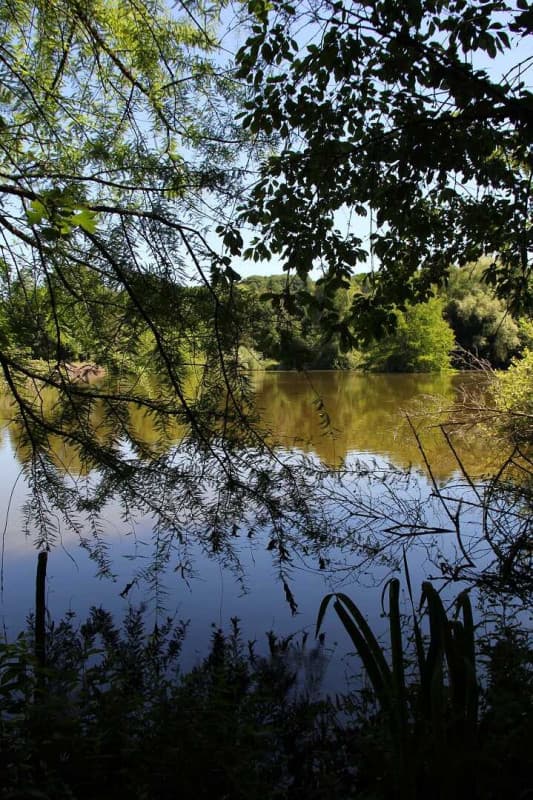 AU VIEUX CHÊNE AU CALME, AVEC ÉTANG DE PÊCHE