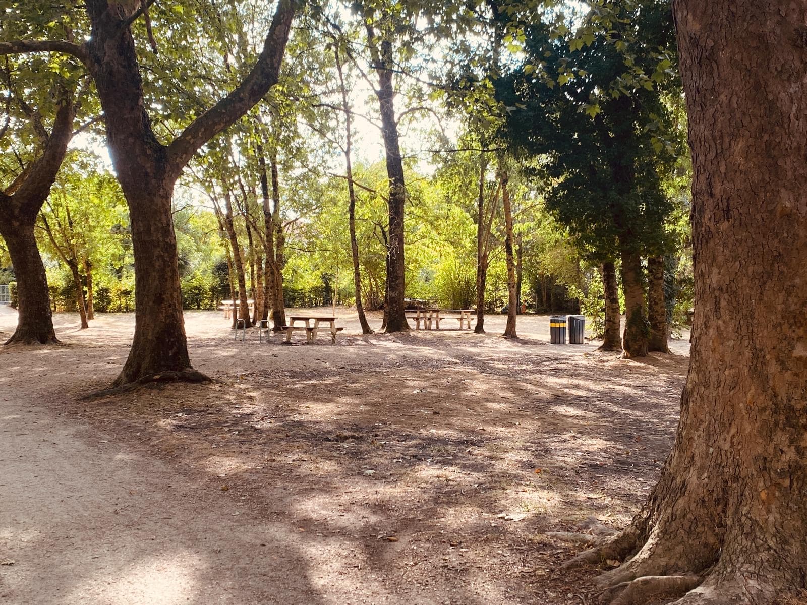 Aire de pique-nique de Coulon 3