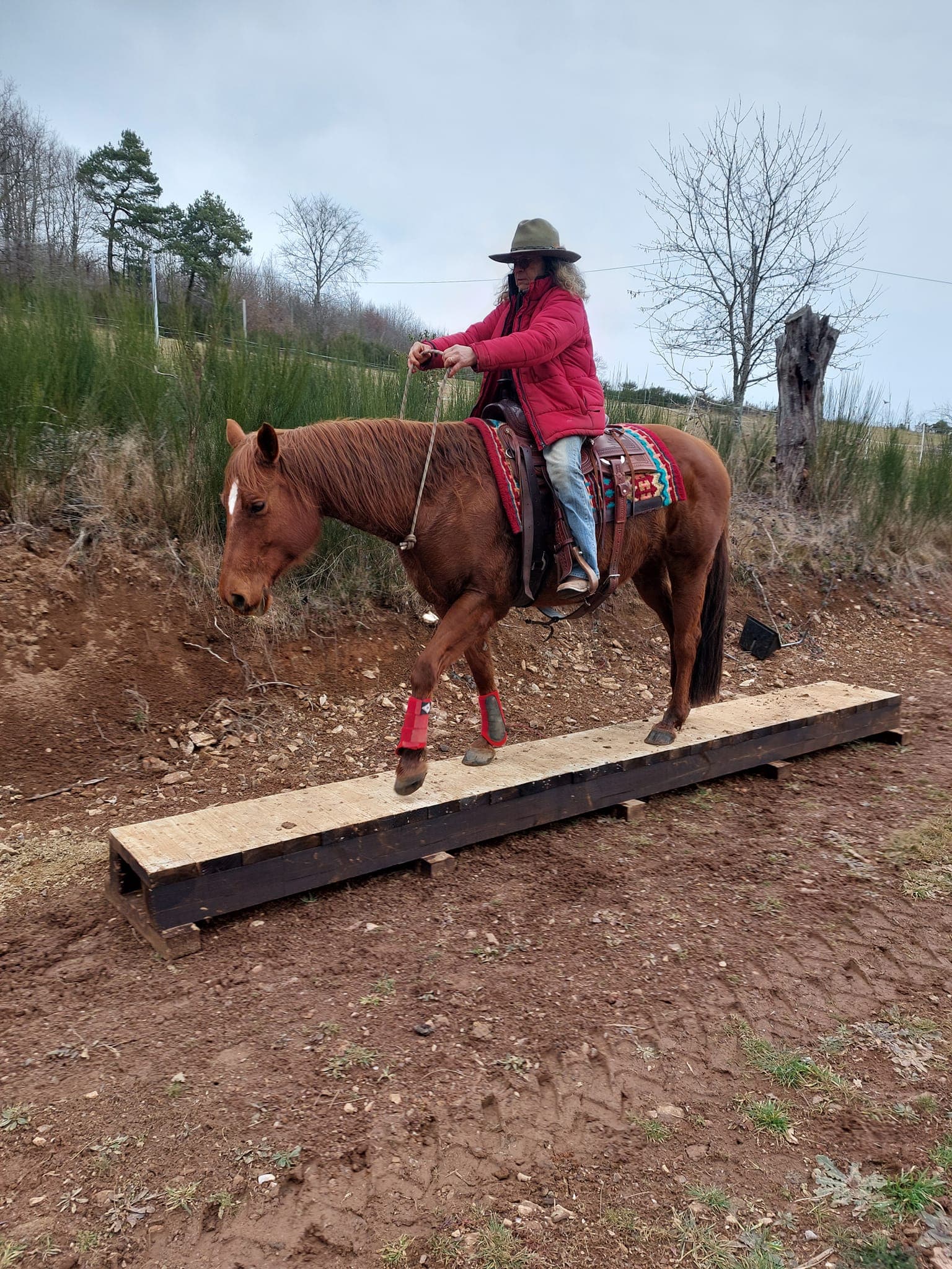 Mountain trail"equitation western comportementale"
