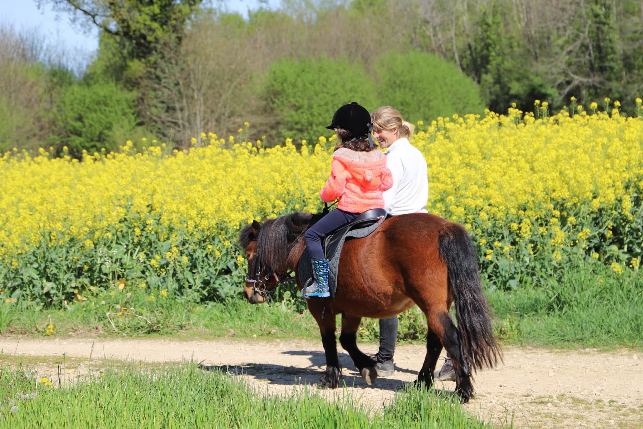 Poney club des retrouvailles - Voulême - 13