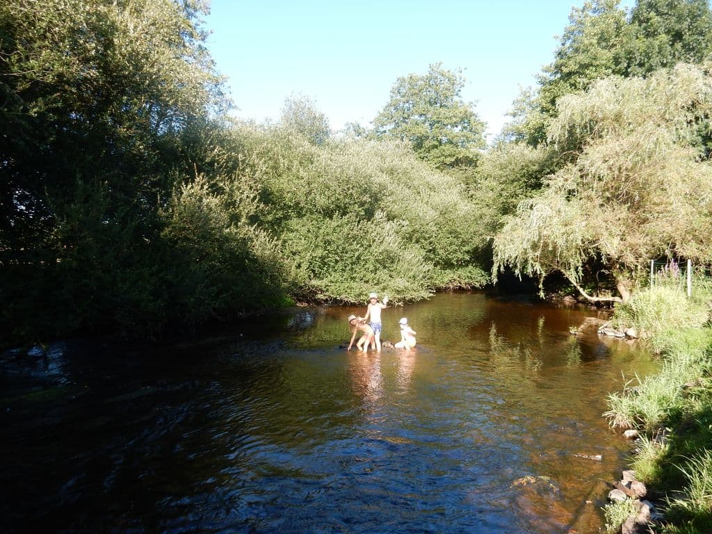 Les Pieds dans l'Eau