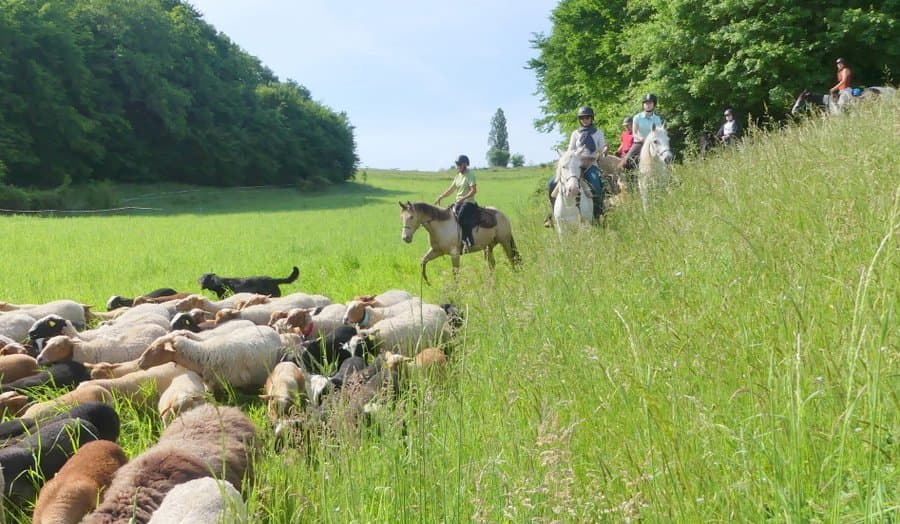 L'Echappée Pastorale