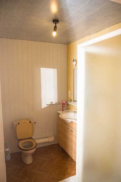 renard-wc-sit.jpg_11