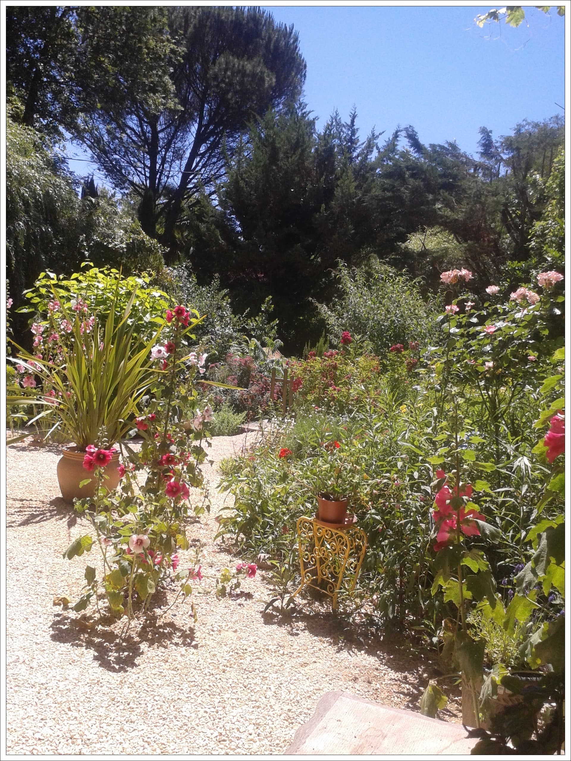 Le jardin