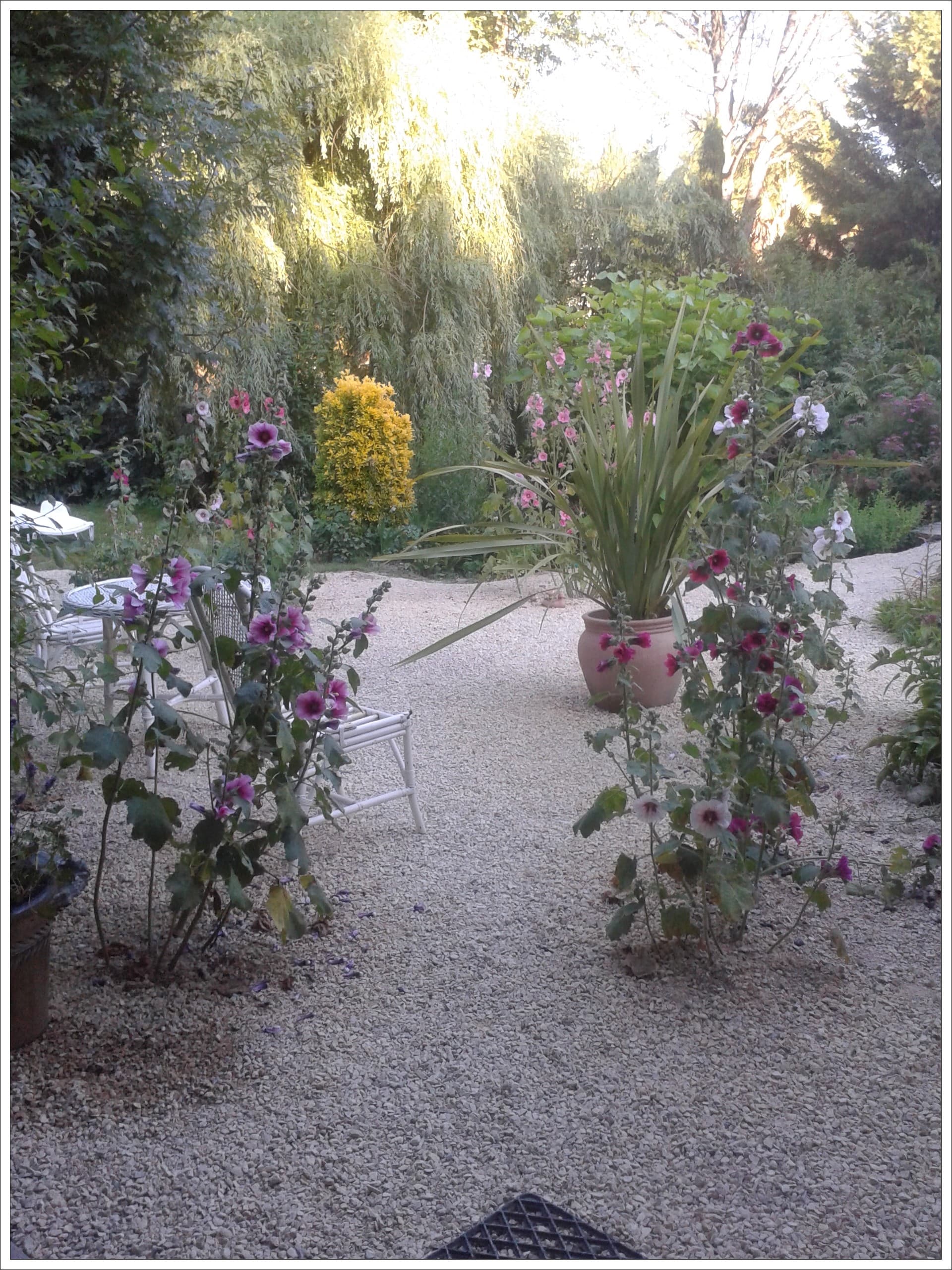 Le jardin
