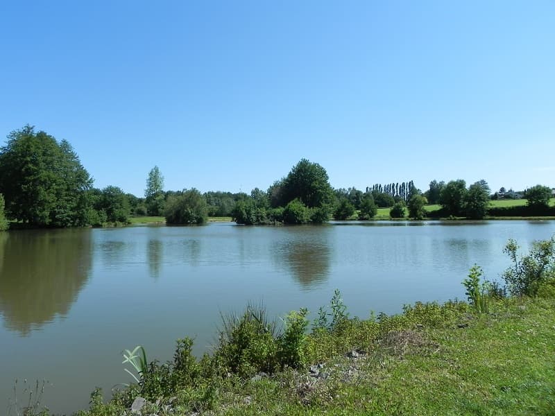 Etang