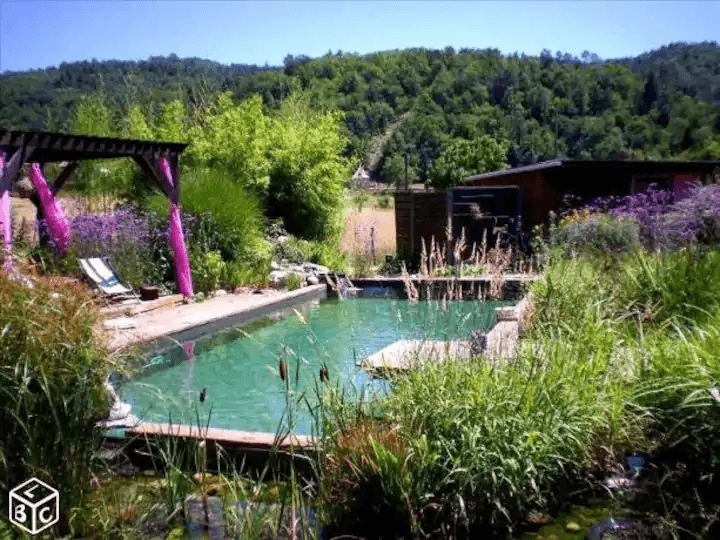 Piscine naturelle_6