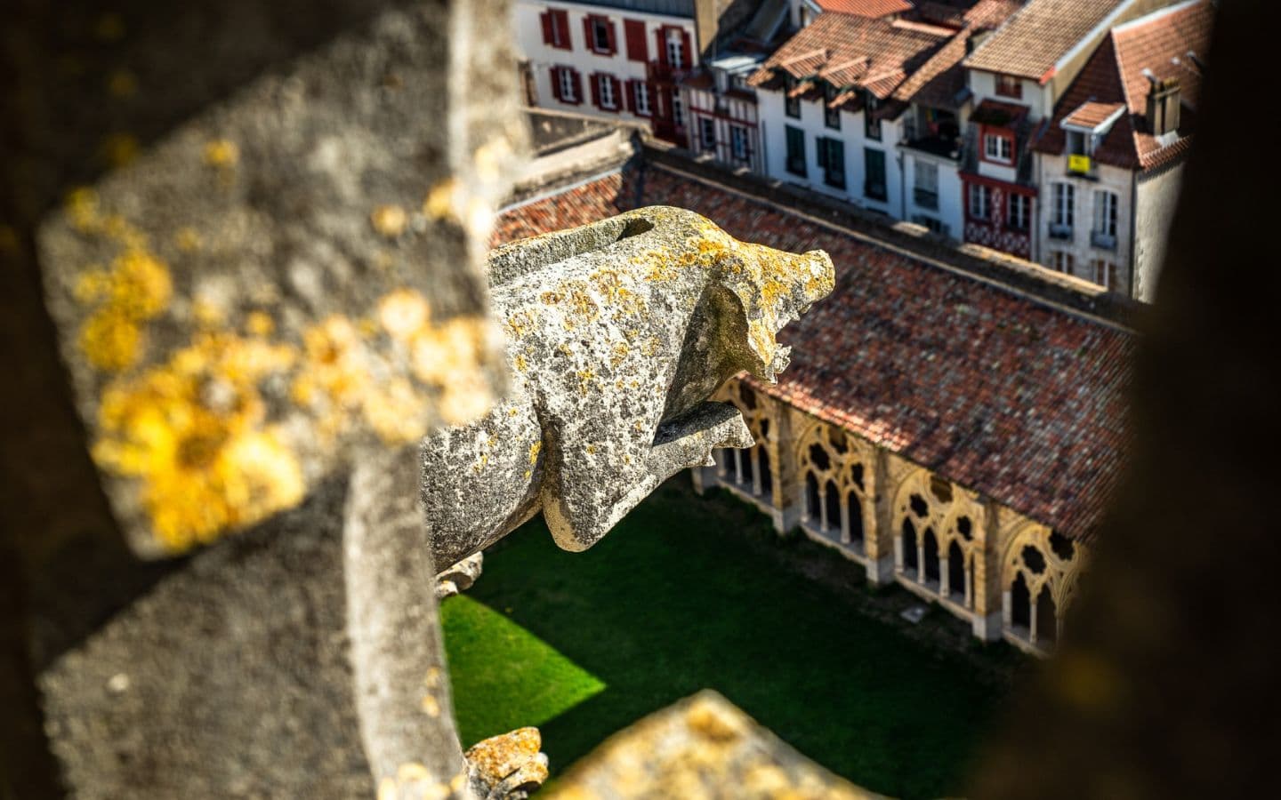 Cathédrale Tour Sud