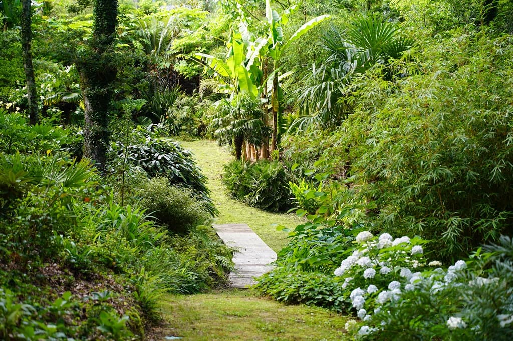 Jardin-des-barthes-Saubrigues-OTILAS