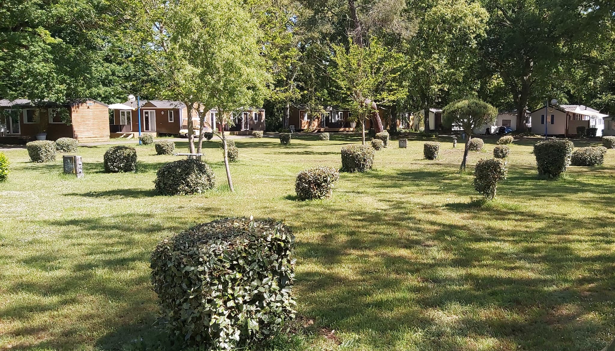 Des chalets dans des espaces verts et arborés.