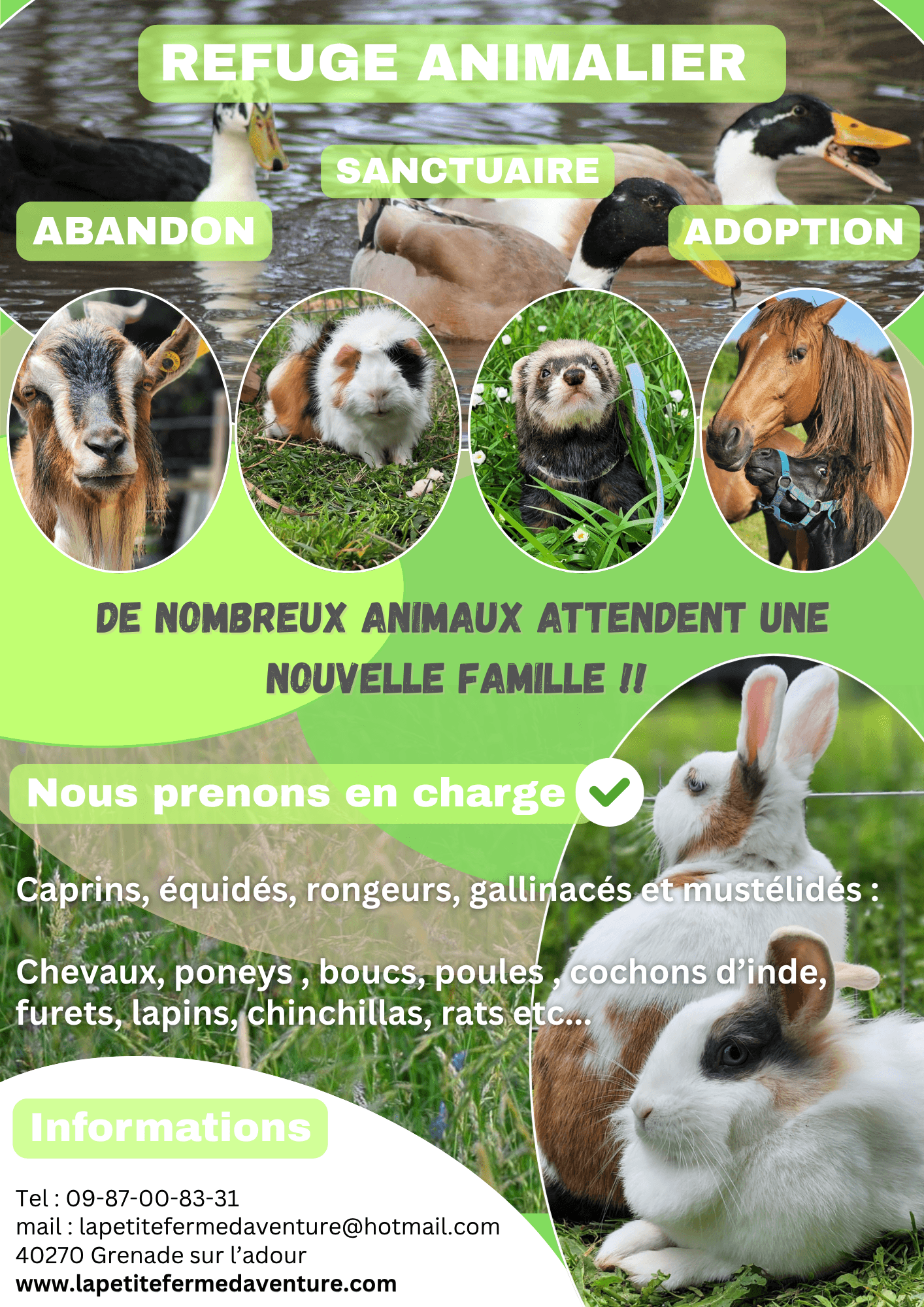 Affiche Évènement Fête Ferme Pédagogique Simple Collage Photo Coloré - 3