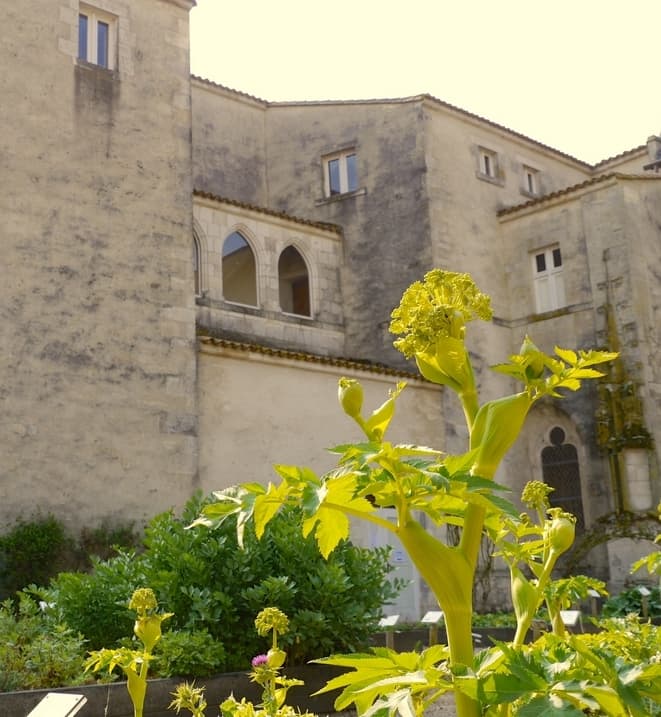La commanderie des Antonins