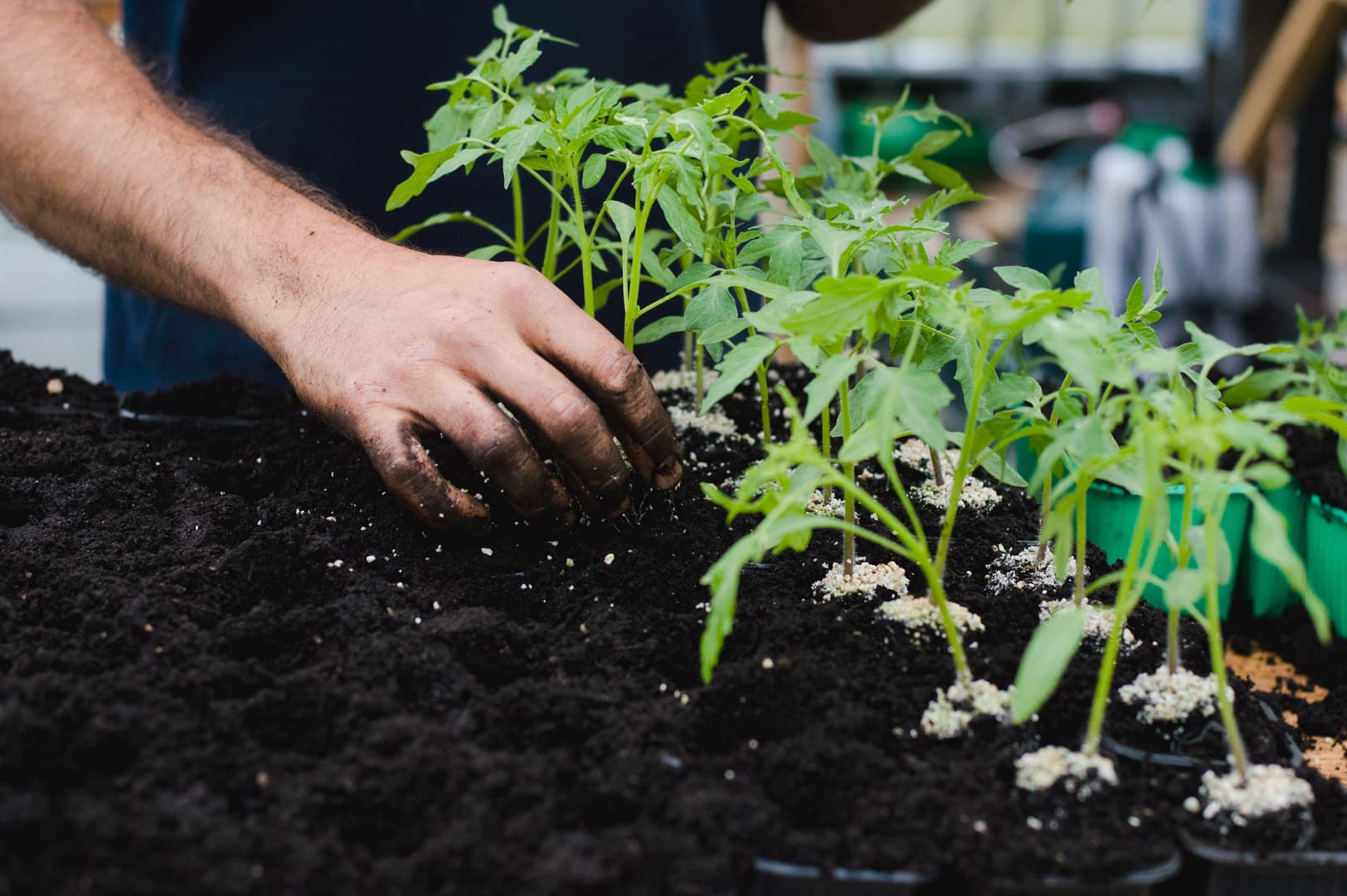 Potager Meyfrenie