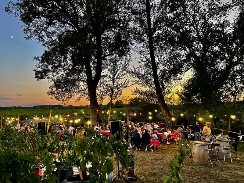 Guinguette La Cabane du vigneron
